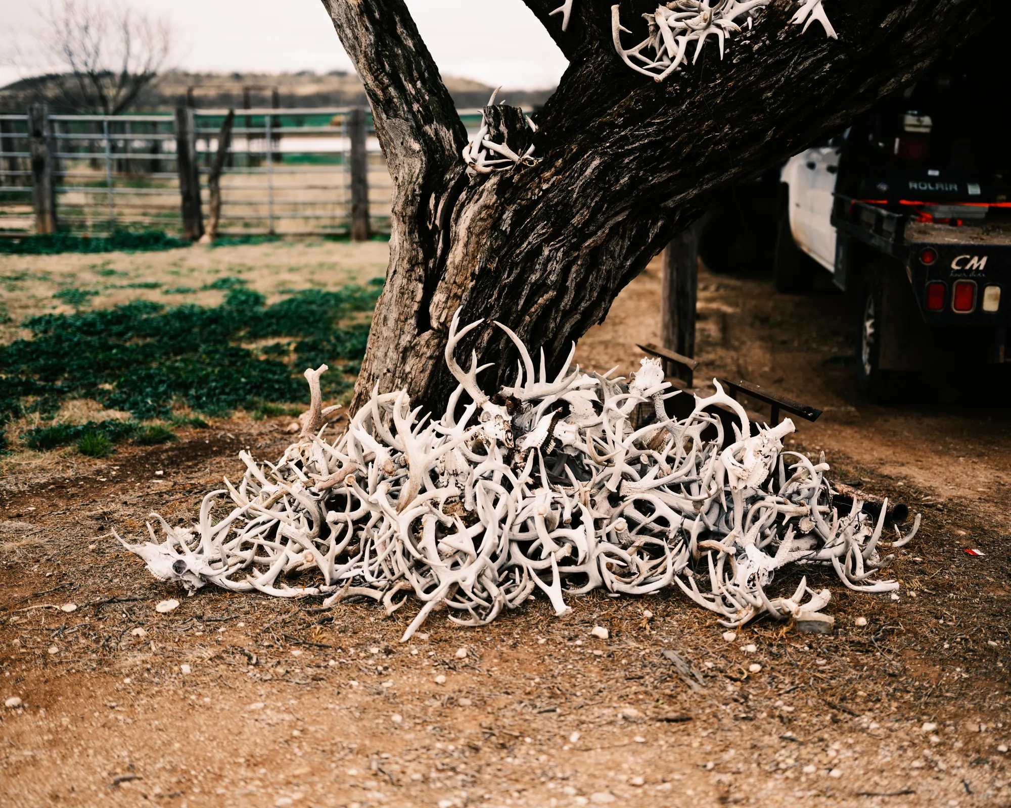 Texas ranch lifestyle