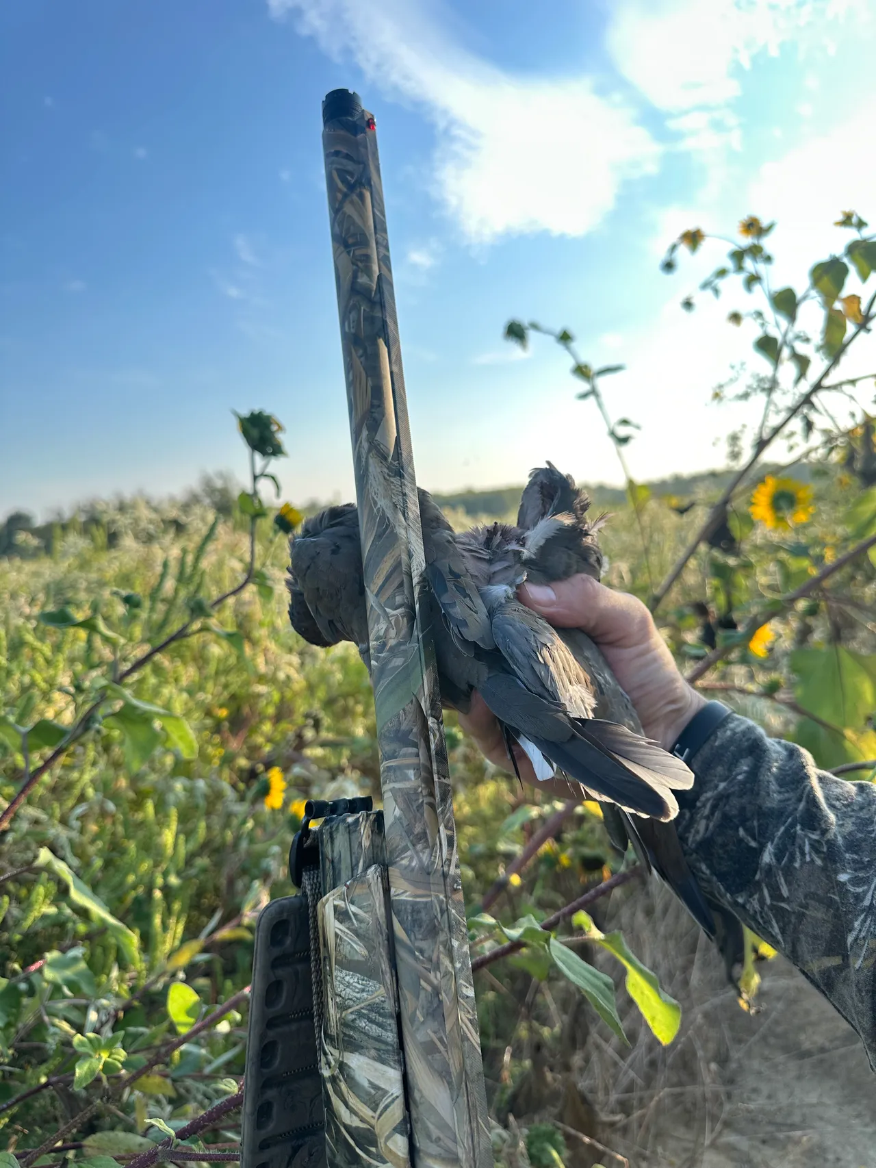 14.22 Acres in Fannin County - Image 10