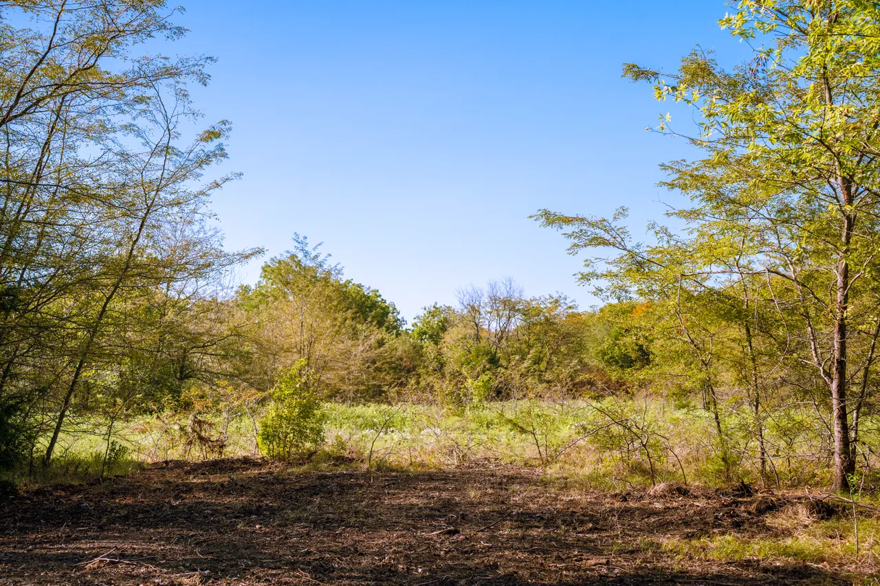 14.22 Acres in Fannin County - Image 11