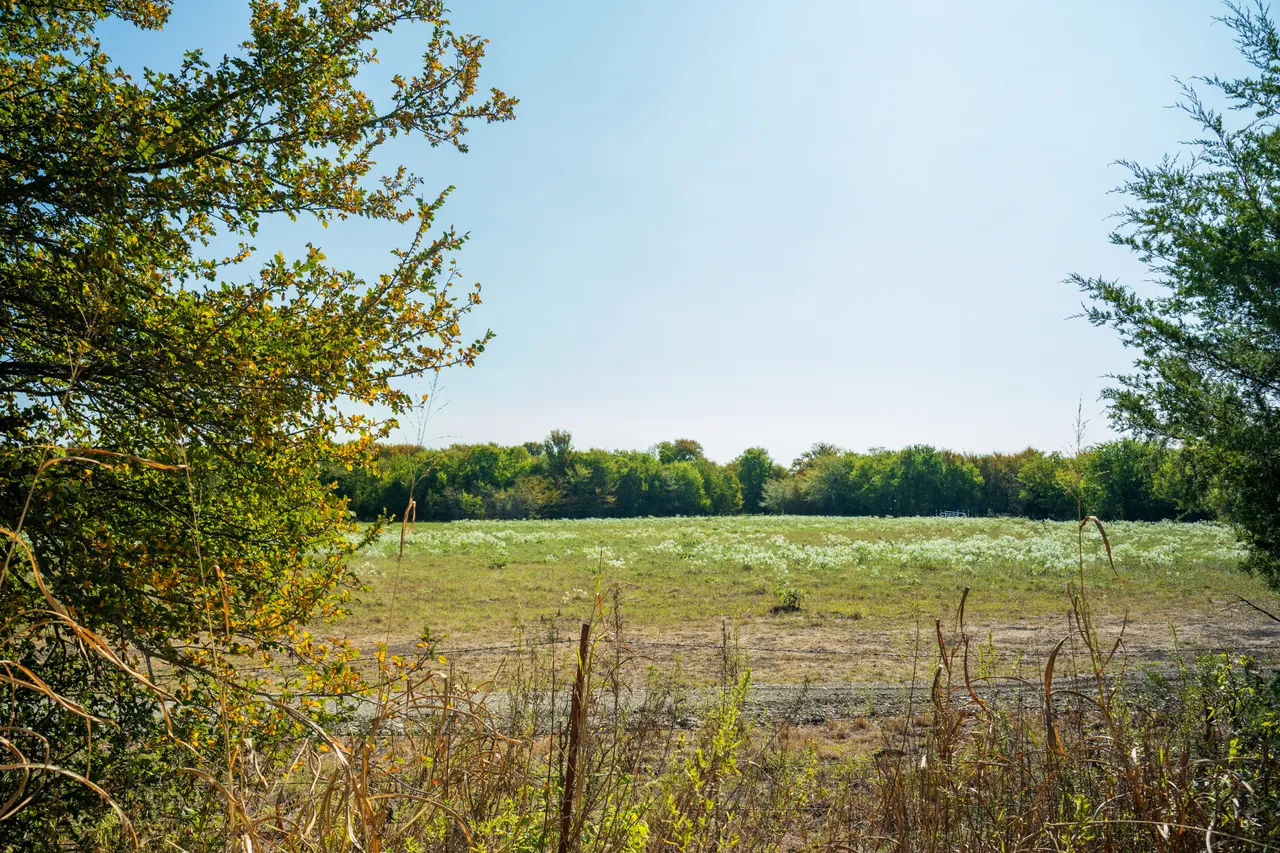 14.22 Acres in Fannin County - Image 12