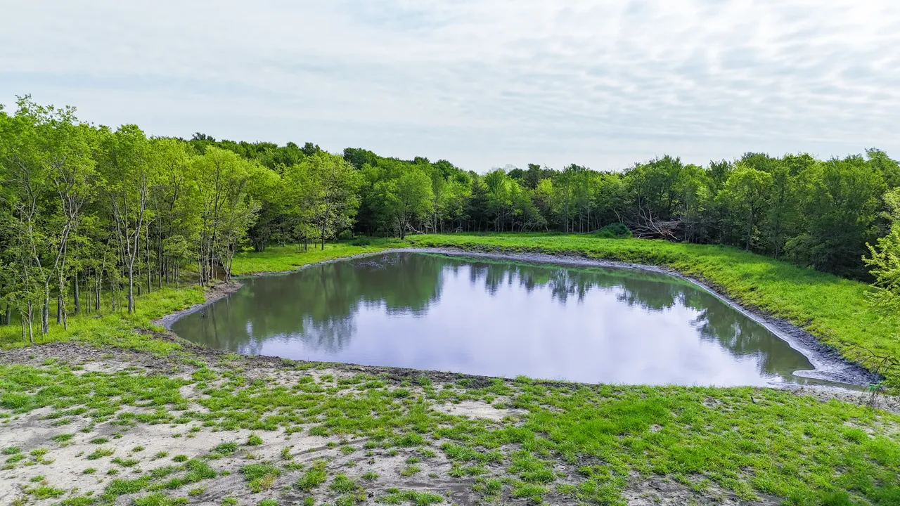 14.22 Acres in Fannin County - Image 13