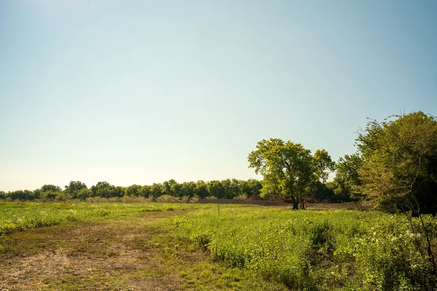 14.22 Acres in Fannin County - Image 2