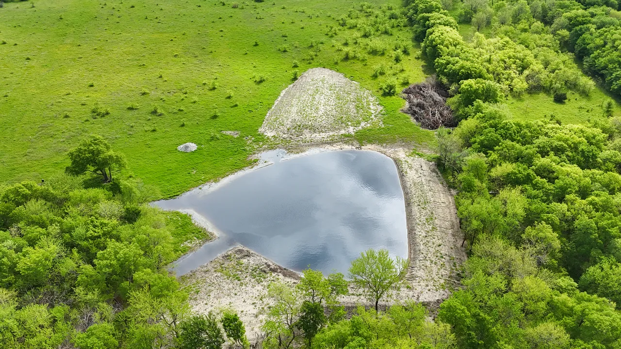 14.22 Acres in Fannin County - Image 3