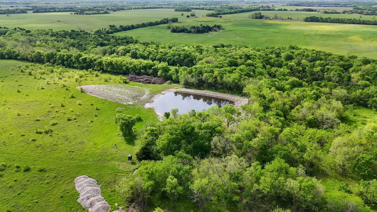 14.22 Acres in Fannin County - Image 4