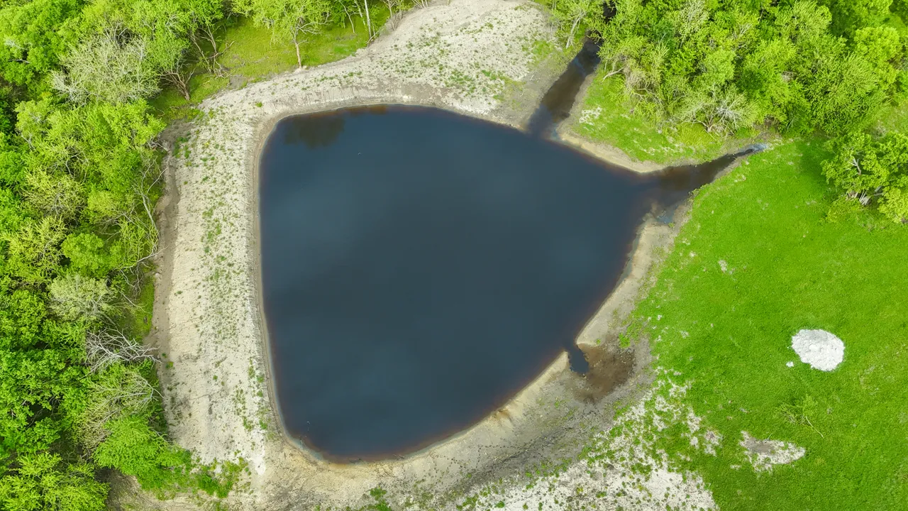 14.22 Acres in Fannin County - Image 5