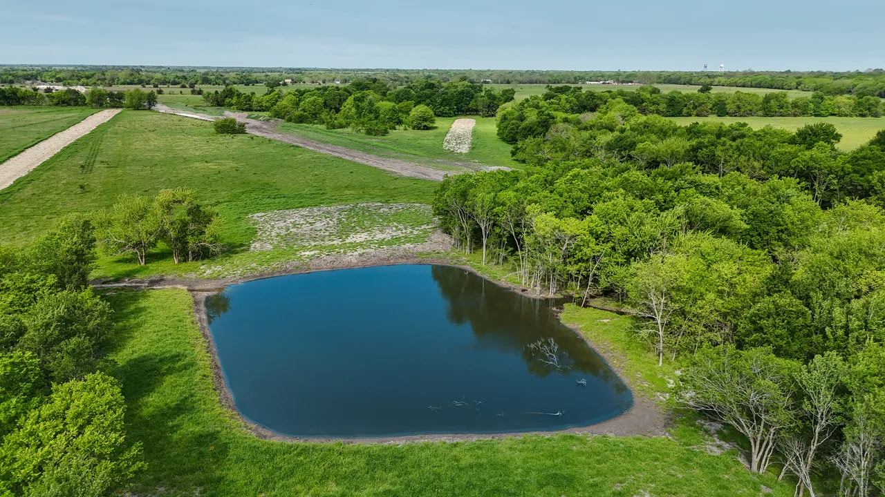 14.22 Acres in Fannin County - Image 6