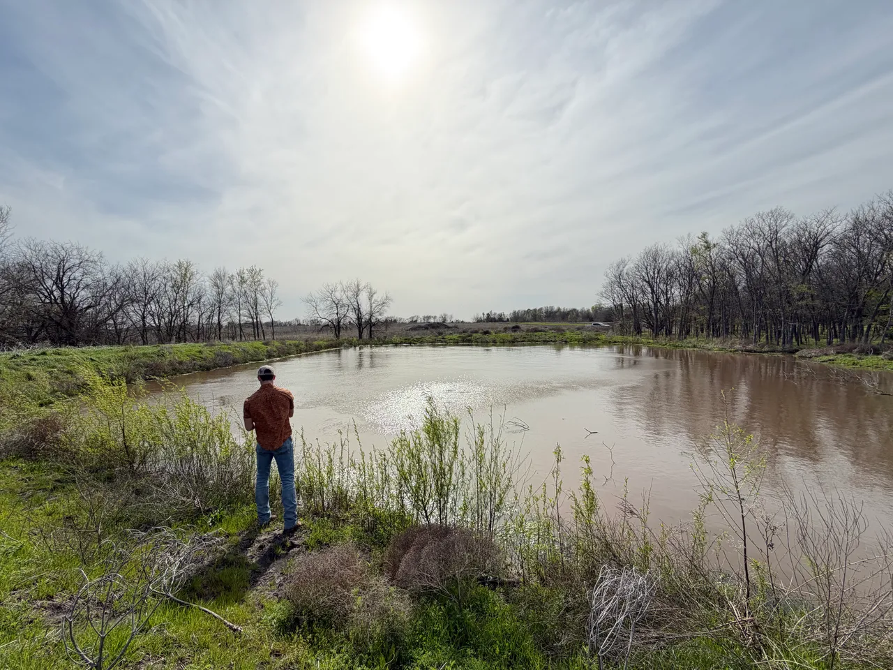 14.22 Acres in Fannin County - Image 8